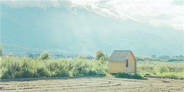 私房菜-酸菜羊肉